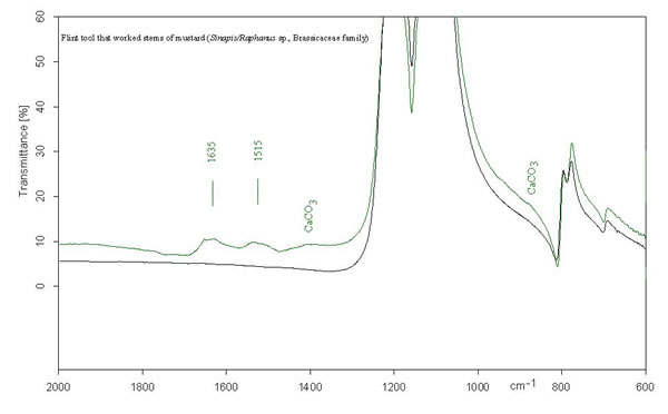 FTIR Spectroscopy Spectrum